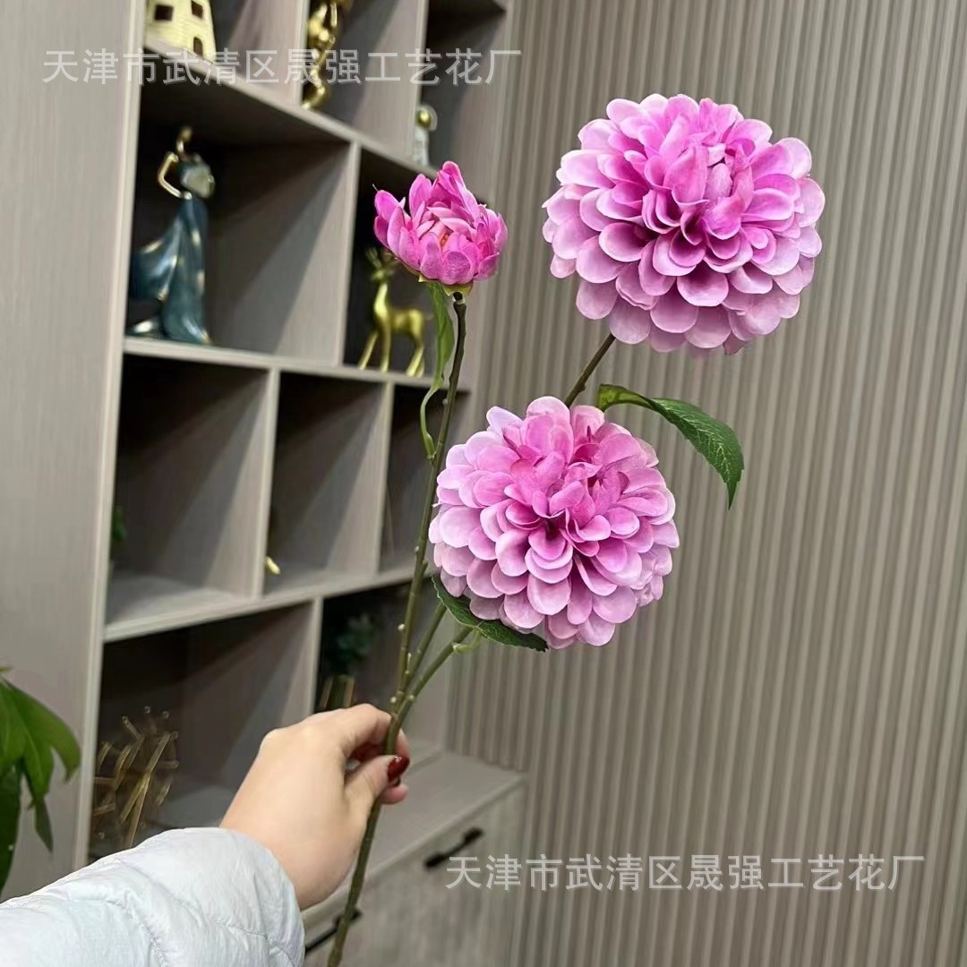 보라색