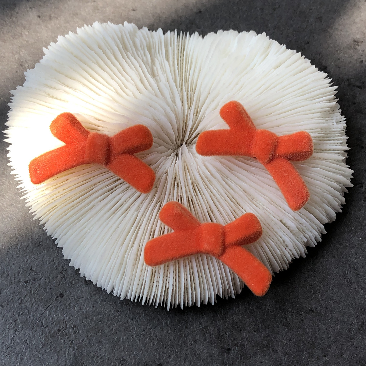 微信图片_20221002181456