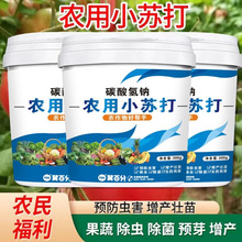 rСK۷N߲˹rx̼{~Ͱbr