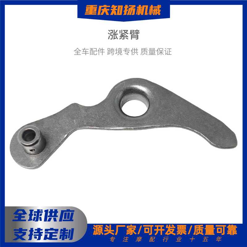 100/110/Dayaang Curved Beam Vehicle Tensioning Arm Tensioner Timing Chain Automatic Chain Tensioner Cross-Border
