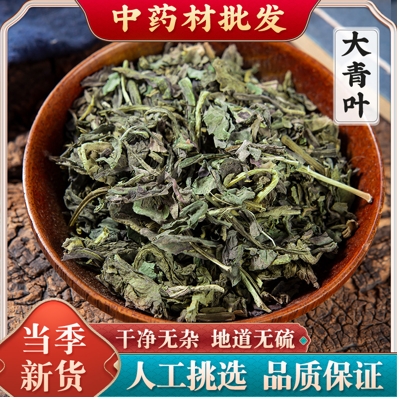 大青叶中药材500克大青叶茶克打大青叶粉新货蓝菜 板蓝根叶子正品