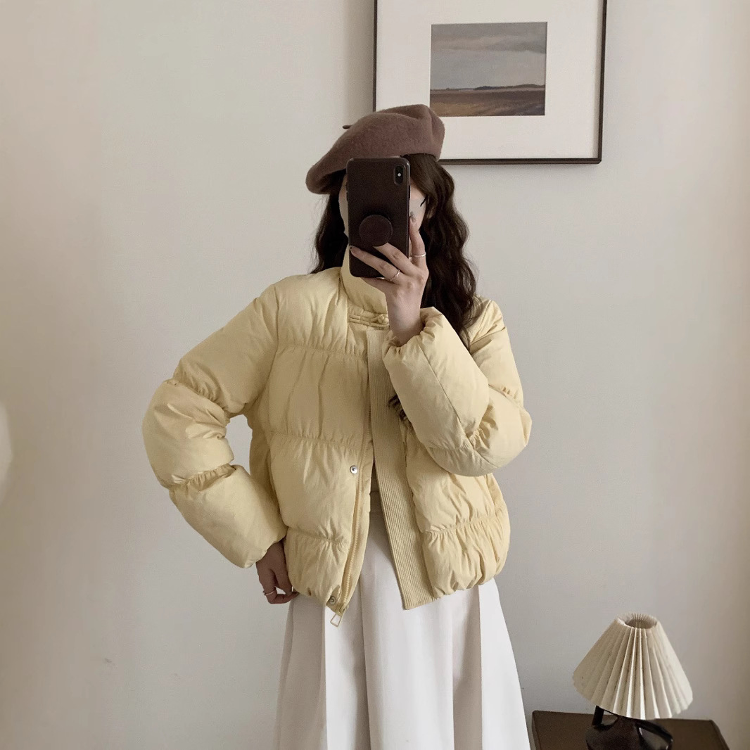 2024 새로운 짧은 스탠드 칼라 빵 재킷 다운 재킷 여성의 작은 흰 오리 다운 따뜻한 빵 의류 겨울 코트