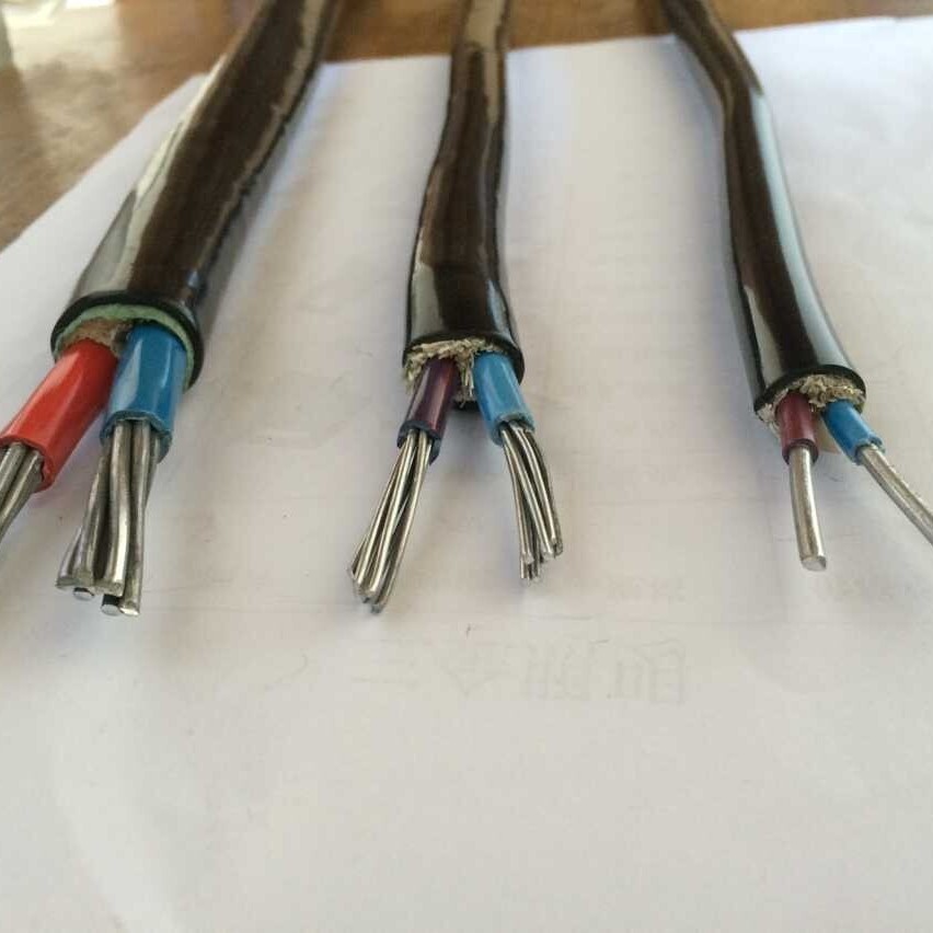 阻燃双芯铝芯电线VLV2*6/10/16/25/35/50平方2芯铝线两芯铝芯电线