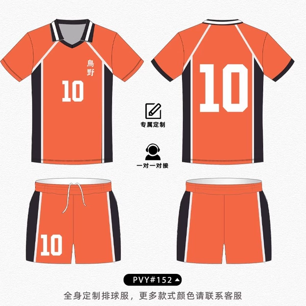 PVY152 Karasuno High School Volleyball Team [Full Body Seal]
