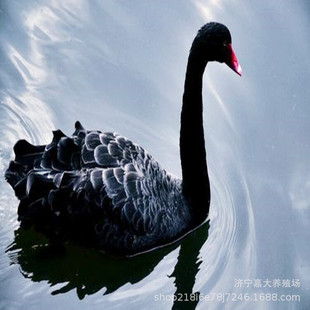 �^�pˮ�ݺ����Z���w�����������Z����a����������Z���������