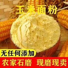 ���������6��|���������z�^���׷۰�����۰�����ּZ�s�Z����