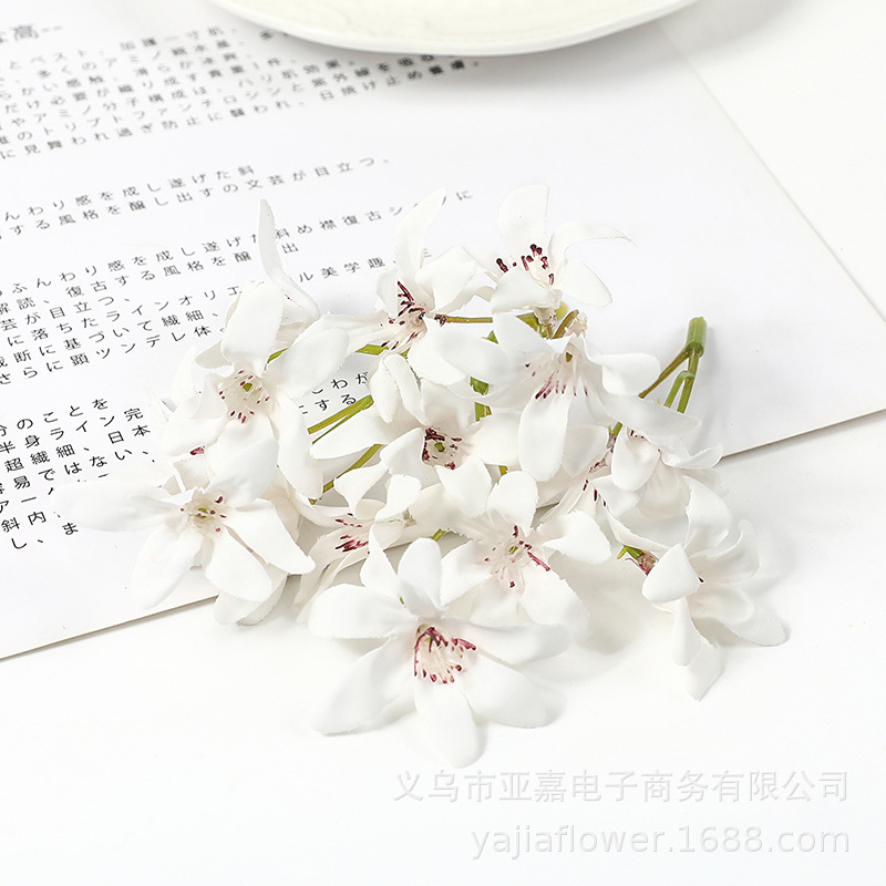 화이트