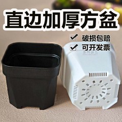 厚い多肉のベランダの小さい黒い方の白い樹脂の四角形の植木鉢の対外貿易のメーカーの卸売り