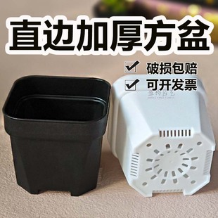 Thickened fleshy balcony small black white resin square flower pot foreign trade manufacturers wholesale