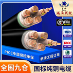 鸿海线缆定制国标纯铜保检ZR-YJV3+2*10 16~300  低压电力电缆线