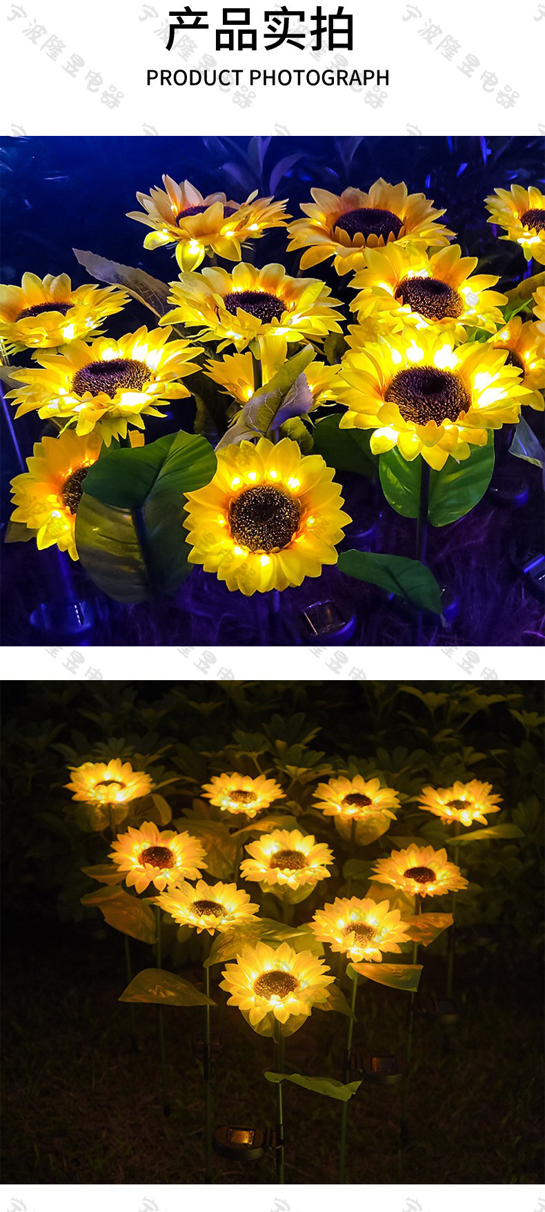 向日葵 产品实拍 水印.jpg