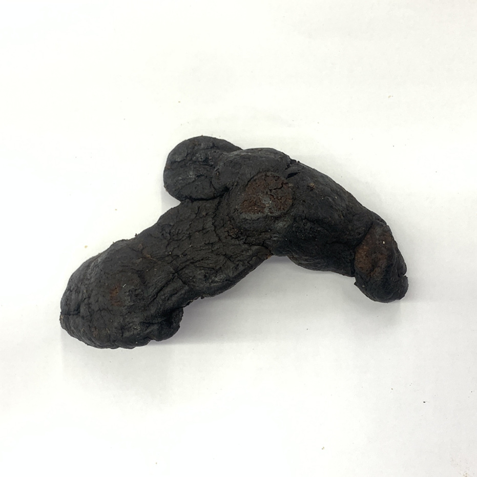 20220928184415_副本