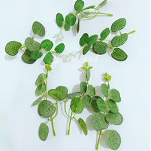 ���R�d�����ֻ���X�~�ȼ����~ɭϵ��c�廨�Gֲ�ٗl�廨�b����