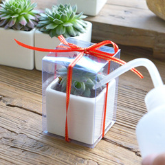 多肉植物迷你小方陶瓷花盆育苗簡約多肉花盆白瓷配菲林盒 可印字