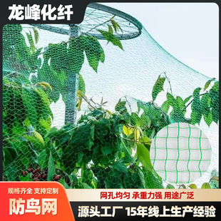 ���@���B�W ���Ͼ���ϩ�W���o�W������x�W�����~���Bֳ�W �����W