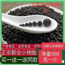 野生新会小柑胎柑小青桔干青柑胎仔陈皮果小青柑皮枳实