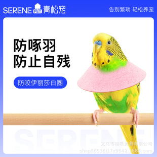 �B���W�^����ɯ��Ȧ��Ƥ���P�����ҧë��ë�܂����o�Ȧ���ׇ���