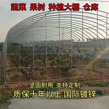 ����䓹ܹǼ��߲˱����Bֳ�Nֲ�������Ϝ�����E�A���B������