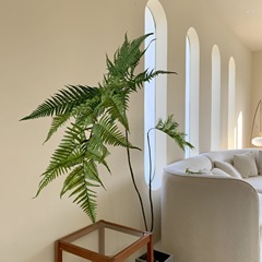 楼夏家シミュレーション緑植金糸猿頭シダ室内ショーウインドー偽植物置物日本風ネット赤禅意盆栽