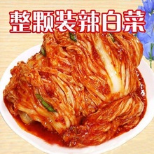廠家直銷朝鮮族辣白菜延吉風味東北特產(一斤裝辣白菜)韓國泡菜