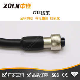 焊接航空插头12G母头带线2芯3 4针5孔6 7 8 9 10 12芯G12公头插座
