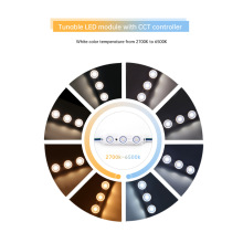 �¿�V���b��� ���{ɫ�׹� �pɫ��2700K+6500K LED�V��ģ�M 12V