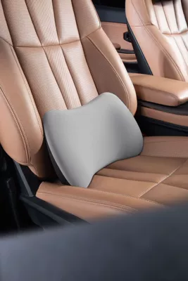 neck pillow for car use, Waist support - high-end-gray-single-lumbar-support