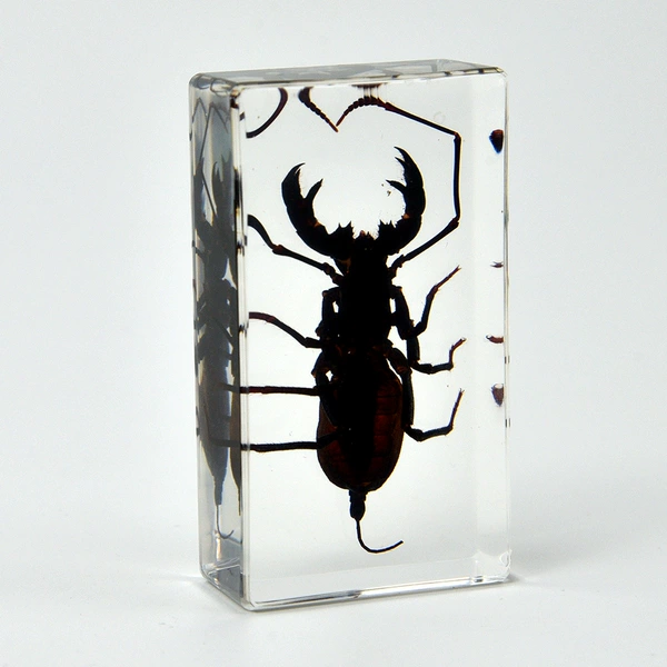 7.3CM medium vinegar scorpion