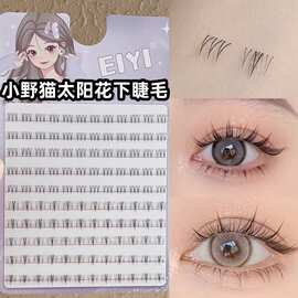 EIYI小野猫太阳花下睫毛假睫毛女自然仿真小火苗懒人三部曲眼睫毛