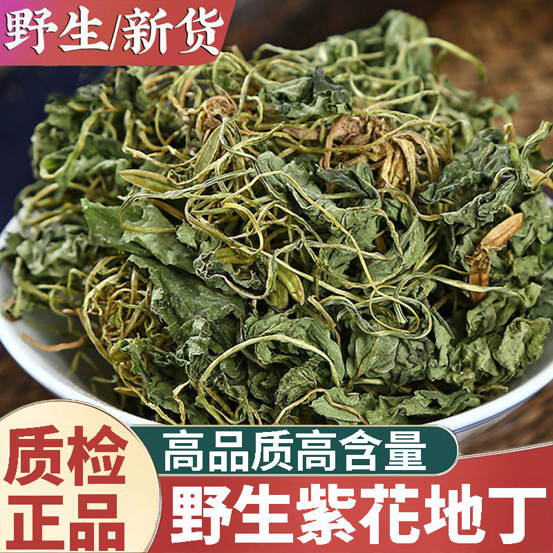 热卖野生紫花地丁新货500g犁头草地丁草地丁地丁茶泡水真