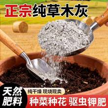 ��ľ���r���ЙC�����B���N���õĲ�ľ����Ȼ⛷�������������̿