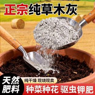 ��ľ���r���ЙC�����B���N���õĲ�ľ����Ȼ⛷�������������̿