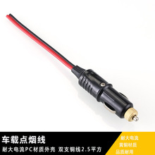 ���ص�����12V24V48Vͨ�ô��ʵ������豸����������2.5ƽ��ͭ��