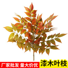 �羳������ľ�~�Gֲ���W�Ҿ�ܛ�b������~�辰ɭϵ��Y���活��