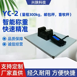 手提秤;电子秤;厨房秤
