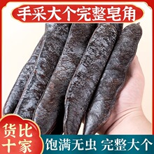 正宗大皂角中药材正品500g皂角长皂角皂荚粉猪牙皂整个皂角皂荚