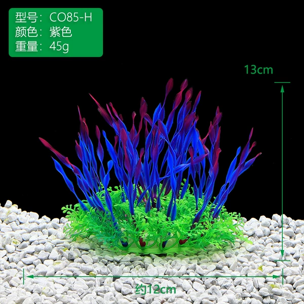 CO85-H【Purple】