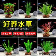 ��ɽʯˮ��ֲ������~��ˮ���쾰���������B�~�ײͺ��������