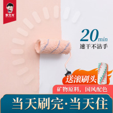 乳胶漆室内家用环保无甲醛墙面修复翻新白色油漆自刷涂料墙漆净味