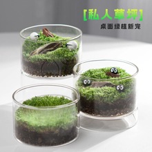 可爱苔藓生态瓶diy种植小盆栽办公室客厅室内桌面懒人微景观礼物