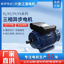 六安江淮电机YL/YC/YY/YS系列三相异步电动机高效节能 厂家直销