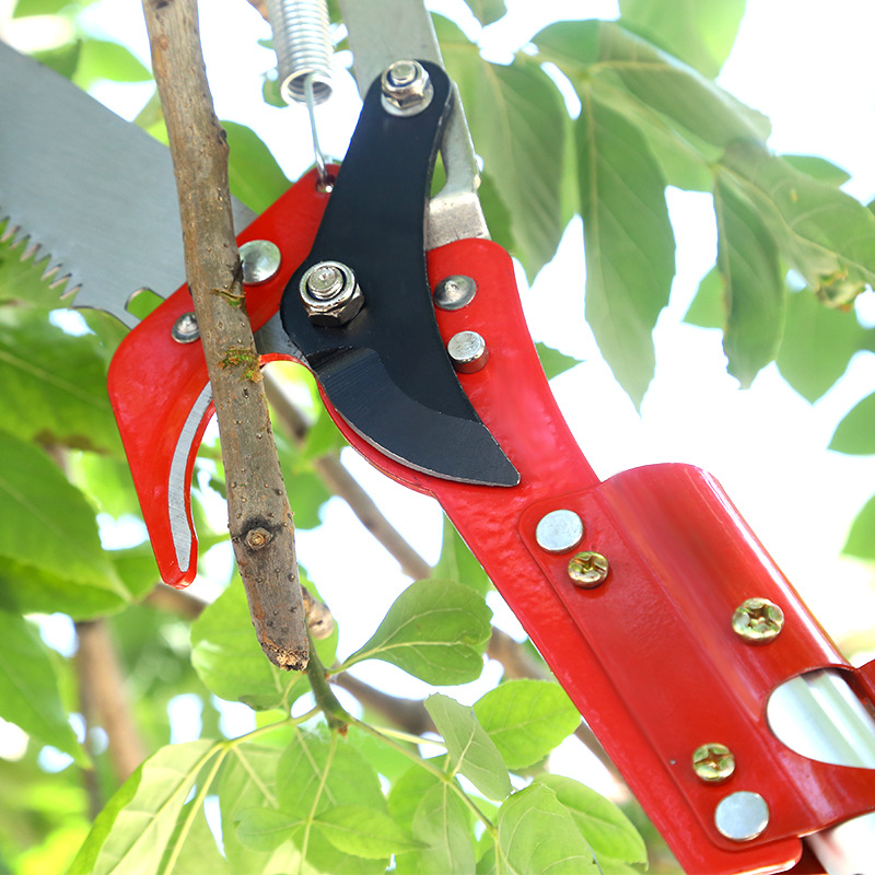 Fábrica de herramientas de jardín dos poleas cortadoras de ramas altas recolección de cuchillas de sierra de cinta de fruta hechas a mano 2 en 1 cortadoras de ramas altas