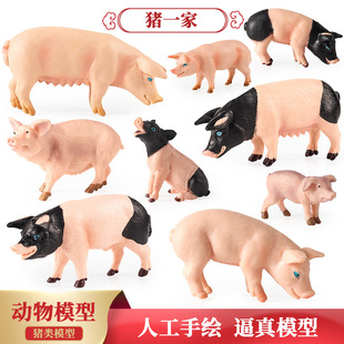 �羳���Ą������ģ��Ұ�i���A�iС�i���iĸ�i��Ů���Y���J֪���k