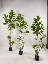 工厂直供仿真盆栽绿植橡树 过胶手感叶摆件橡皮树 多种规格可做