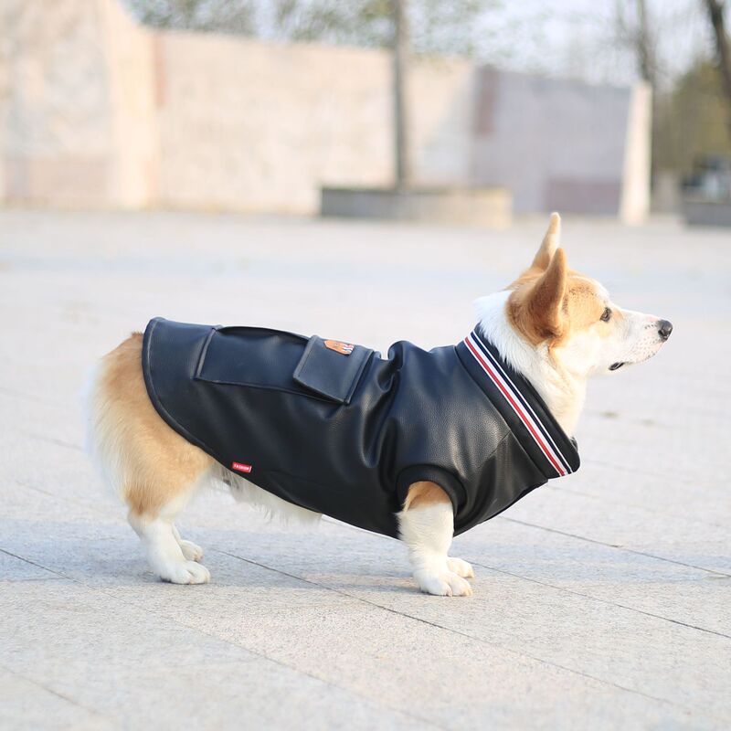 Dog cotton-padded coat pet leather jacket winter warm koji teddy method dou cotton-padded jacket new all-match