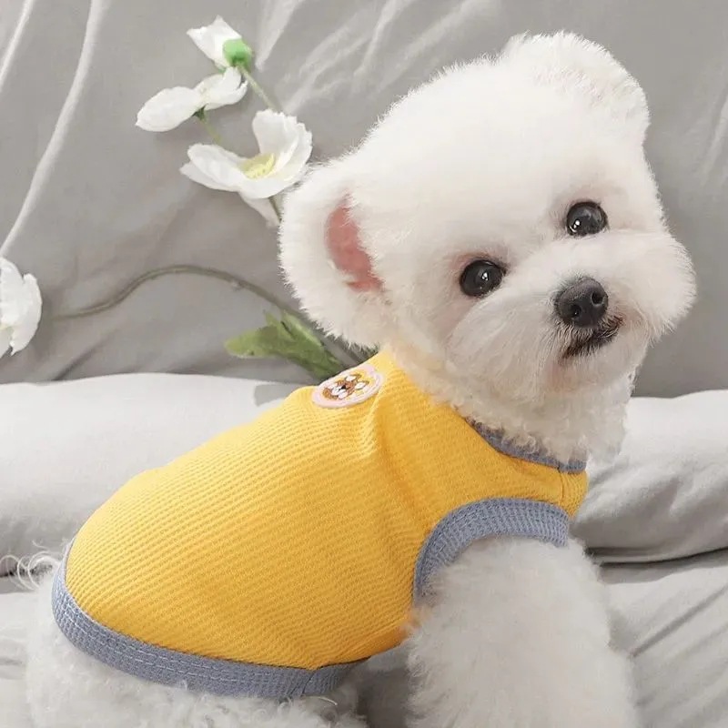 가을 얇은 애완 동물 여름 옷 테디 BICHON VIP 포메라니안 새끼 고양이 슈나우저 작은 강아지 개 옷