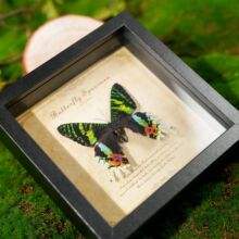�G�����P��������˱����͹����նY���Ą��YƷԴ�^�S�����x�˱�
