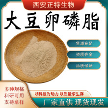 大豆卵磷脂 磷脂酰胆碱 氢化卵磷脂  正特包邮 量大优惠 支持拿样