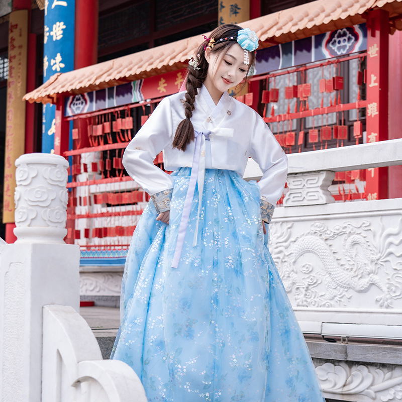 New Traditional Korean Women's Clothing, Blue Sequined Ancient Costume, Korean Ethnic Gauze Stage Dance Performance Costume New Traditional Korean Women's Clothing, Blue Sequined Ancient Costume, Korean Ethnic Gauze Stage Dance Performance Costume