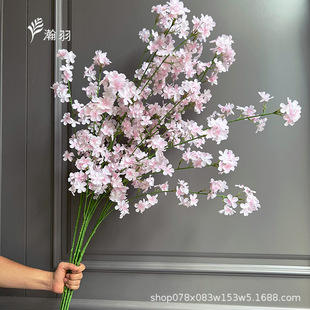 2��󴺻�ӭ�������滨 �Ҿ��b�����յ��߻�c����������������